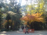 下鴨神社