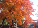 下鴨神社