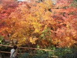 北野天満宮もみじ苑